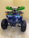 ATV Quad Bike Hunter